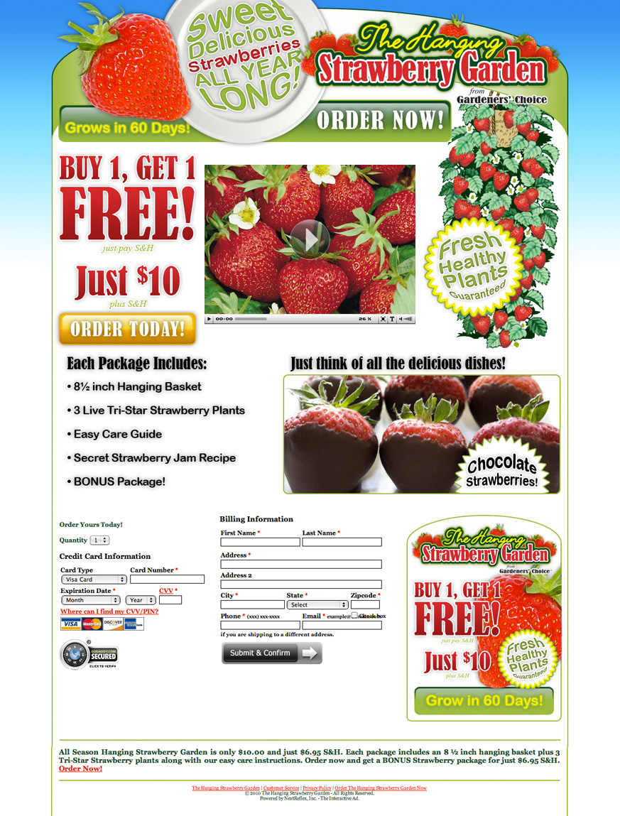 Hanging Strawberry Garden